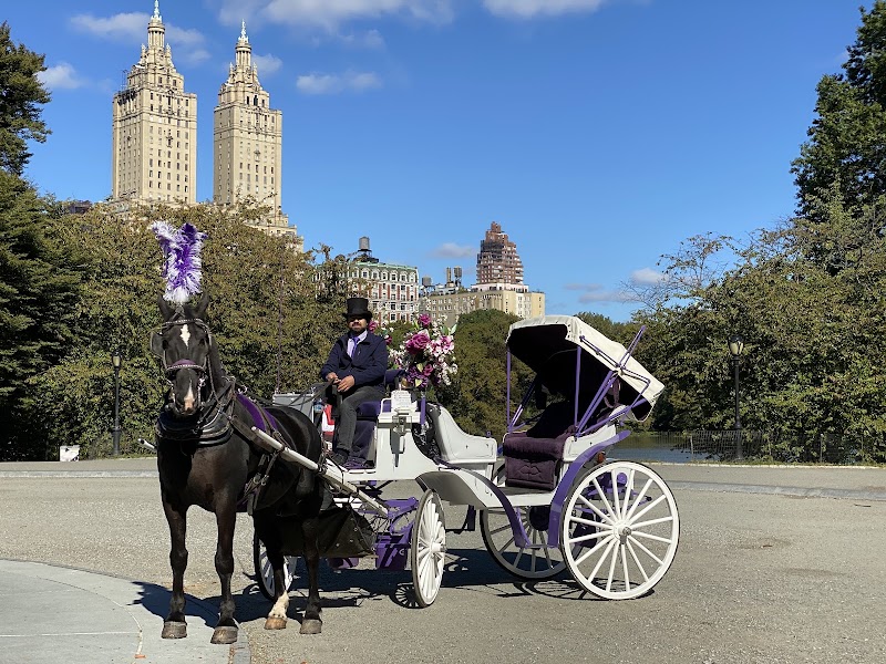 NYC Central Park Horse Carriage Rides since 1858 - NYC Central Park Horse Carriage Rides since 1858 7th Ave & 59th Street, 180 Central Park S Drive, New York, NY 10019, USA