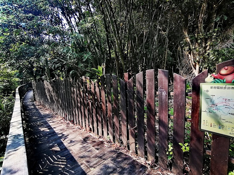 貓空觀光茶園 - 貓空觀光茶園, Wenshan District, Taipei City, Taiwan 116