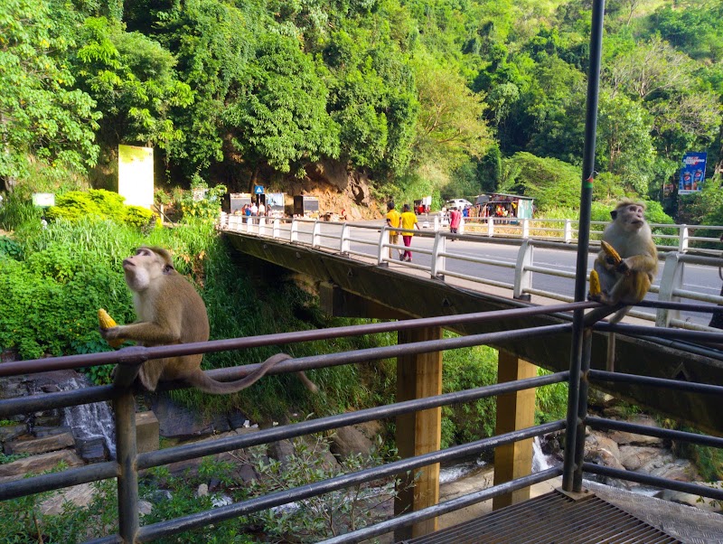 Ravana waterfall - Ravana waterfall, R3R3+CWP, Wellawaya-Ella-Kumbalwela Hwy, Ella, Sri Lanka