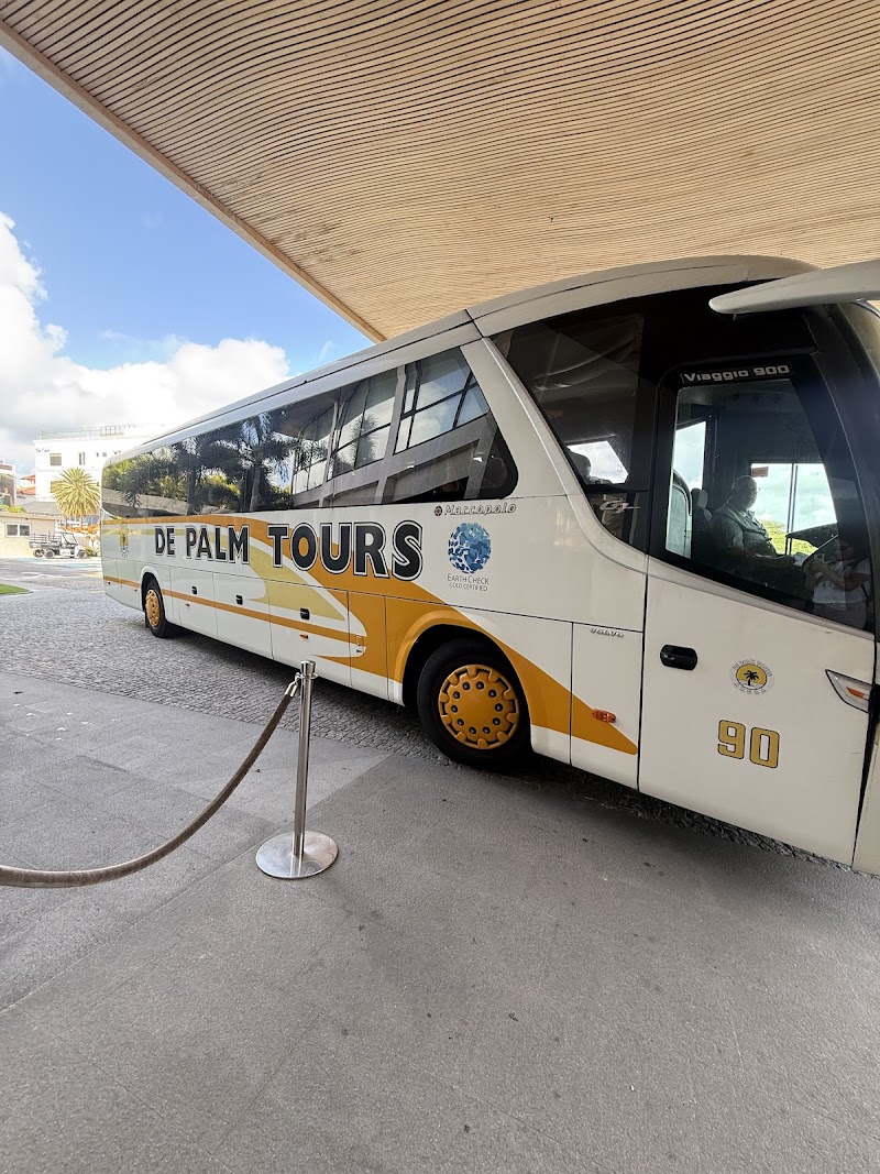 De Palm Tours Aruba - De Palm Tours Aruba, L.G. Smith Boulevard 142, Oranjestad, Aruba