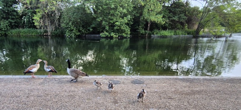 Serpentine Lodge - Serpentine Lodge Hyde Park, Serpentine Rd, London W2 2UH, UK