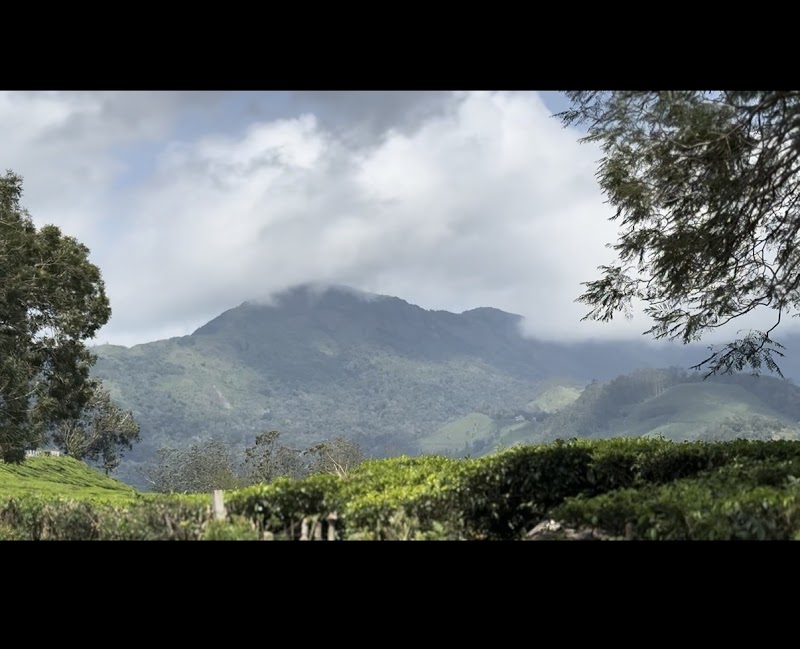 Munnar Tourist Places - Munnar Tourist Places Factory Division, Pallivasal, Estate, Munnar, Pallivasal, Kerala 685565, India