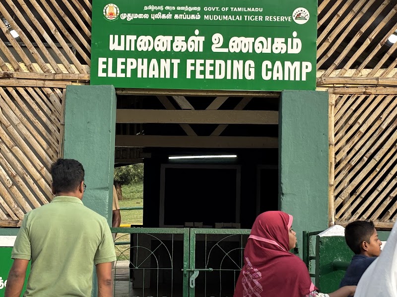 Theppakadu Elephant Camp - Theppakadu Elephant Camp HHHM+HJV, Theppakadu, Masinagudi, Tamil Nadu 643211, India