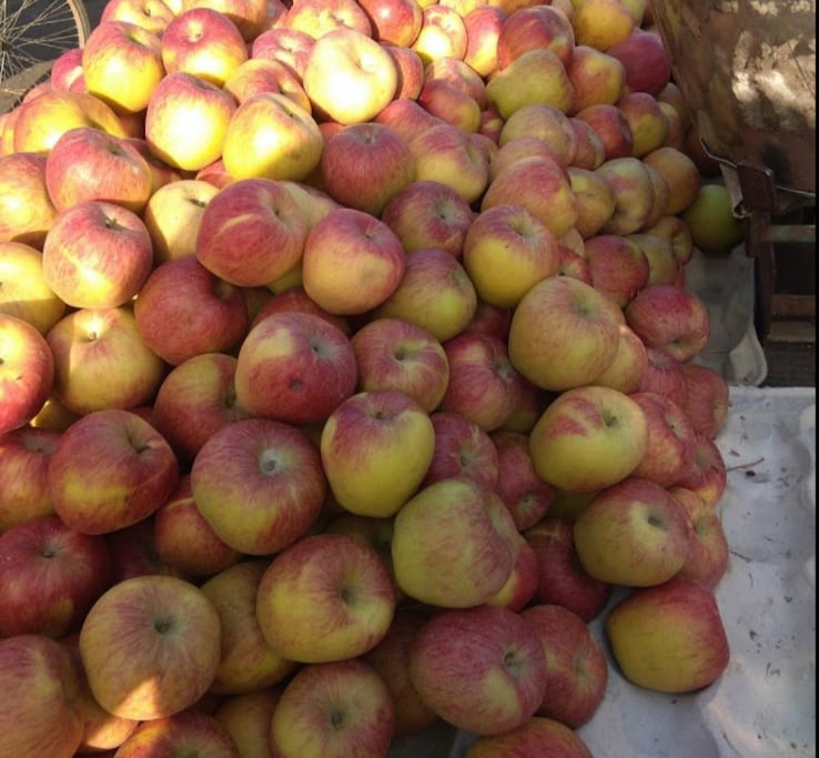 Grain Market - Grain Market, Subzi Mandi, Sector 26 East, Chandigarh, 160019, India