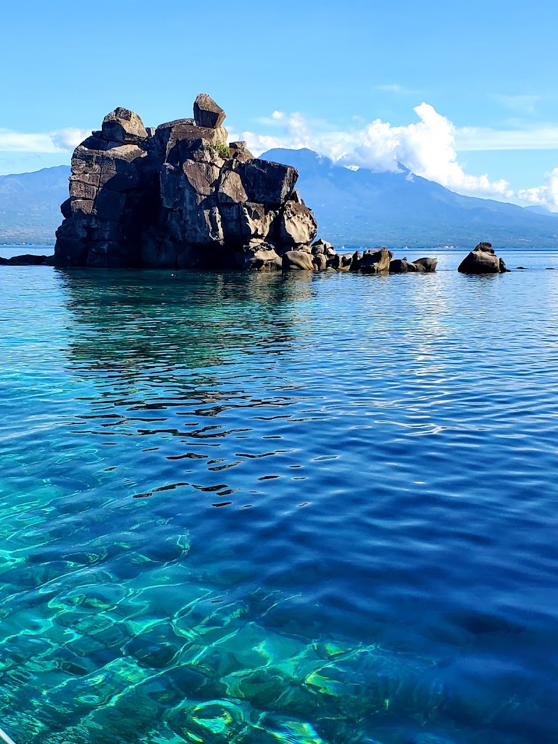 Apo Island Marine Sanctuary - Apo Island Marine Sanctuary, Philippines