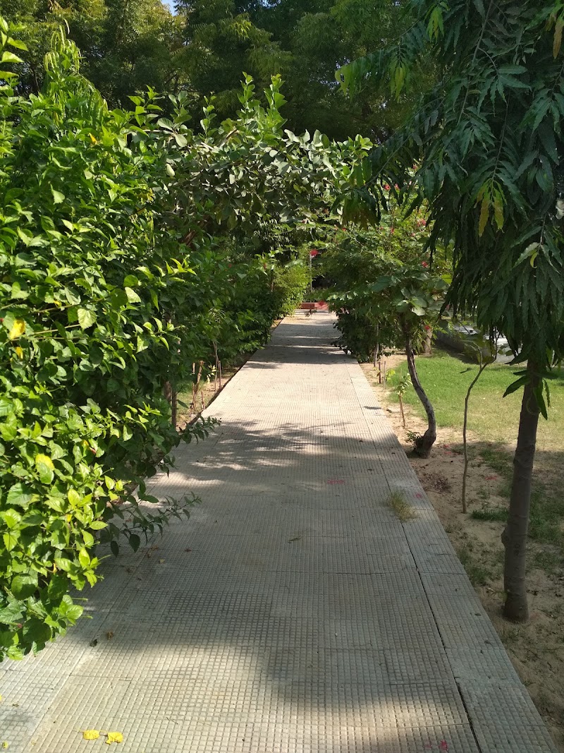 Kalp -Vriksh Park - Kalp -Vriksh Park, QRXF+R8G, opp house no 113/101, Kumbha Marg, Sanganer, Sector 11, Pratap Nagar, Jaipur, Rajasthan 302033, India