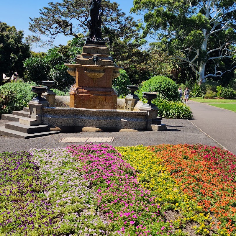 Royal Botanic Garden Sydney - Royal Botanic Garden Sydney, Mrs Macquaries Rd, Sydney NSW 2000, Australia
