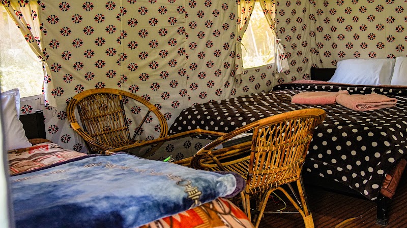 Whispering Pines Camp Stay - Whispering Pines Camp Stay, Shangarh, Himachal Pradesh 175134, India