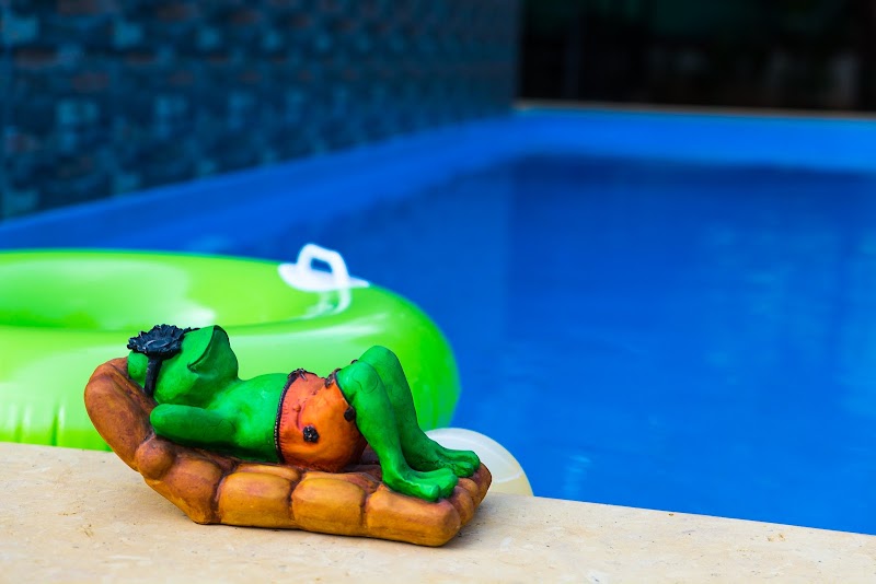 Lazy Frog Guest House - Lazy Frog Guest House, Orlim Rd, Carmona, Goa 403717, India