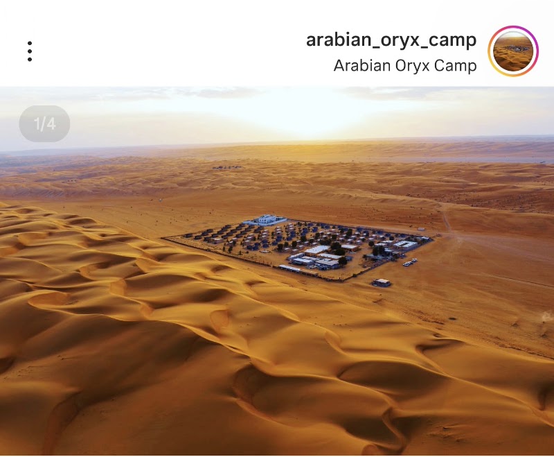 Arabian Oryx Camp