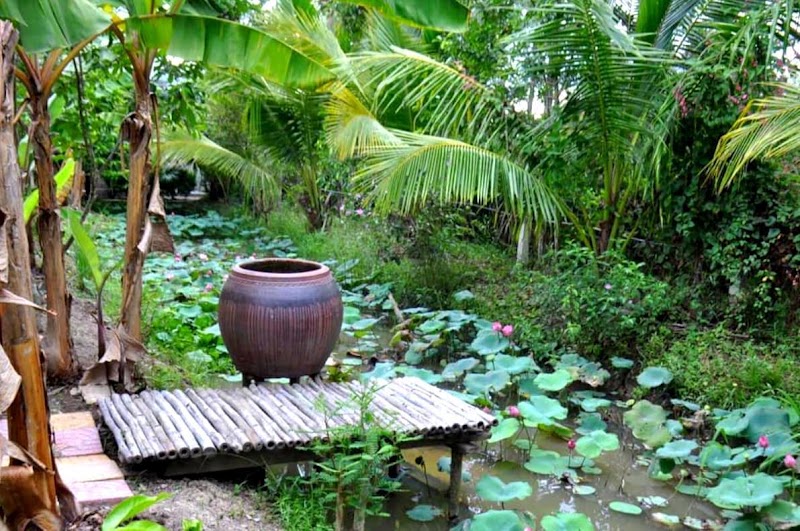 Khu Du Lịch Lung Tràm - Khu Du Lịch Lung Tràm, Nhon Ai, Can Tho, Vietnam