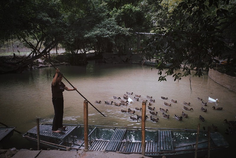 Dundj Valley - Dundj Valley, Nam Hoa Lu, Ninh Binh 08100, Vietnam