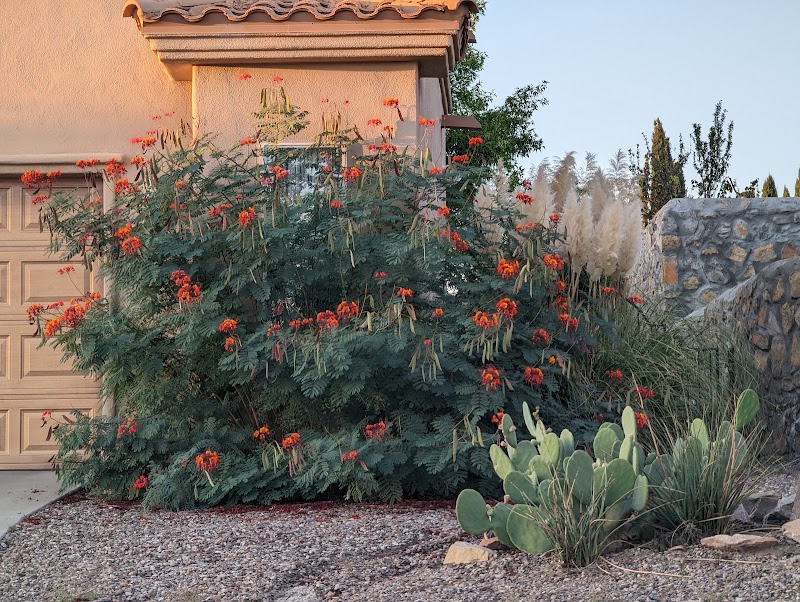 Las Cruces - Las Cruces Las Cruces, NM, USA