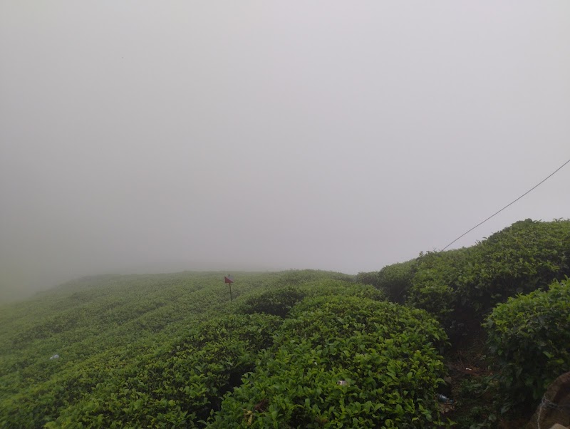 Photo shoot view point - Photo shoot view point CJRC+VWH, NH 181, Sholur, Nanjanad, Tamil Nadu 643237, India