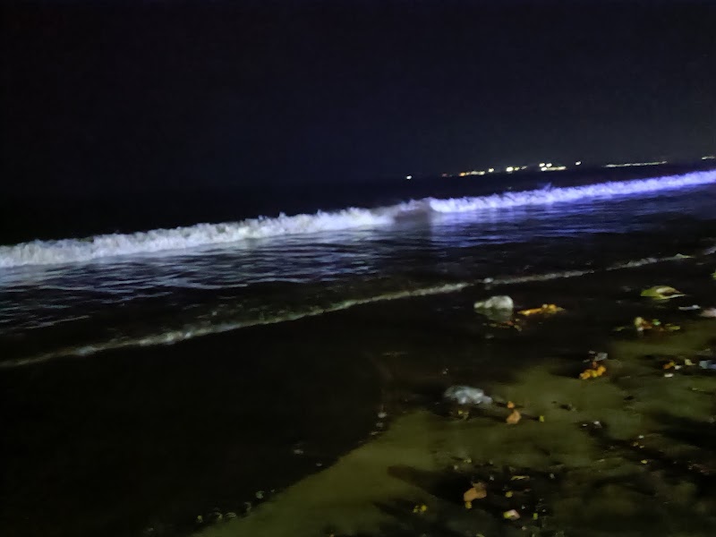Silver Beach - Silver Beach 2, JVPD Scheme, Juhu, Mumbai, Maharashtra 400049, India