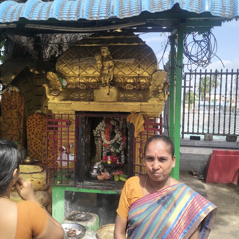 Alamelu Manga Temple - Alamelu Manga Temple Temple 1, Tiruchanoor Rd, Tiruchanur, Tirupati, Tiruchanur, Andhra Pradesh 517503, India
