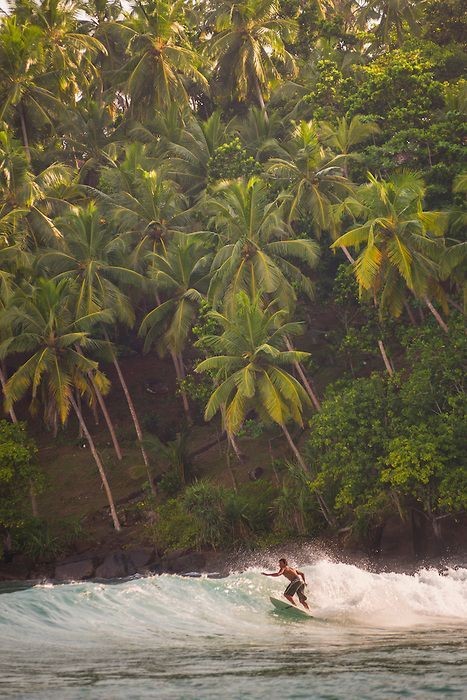 Mirissa travel