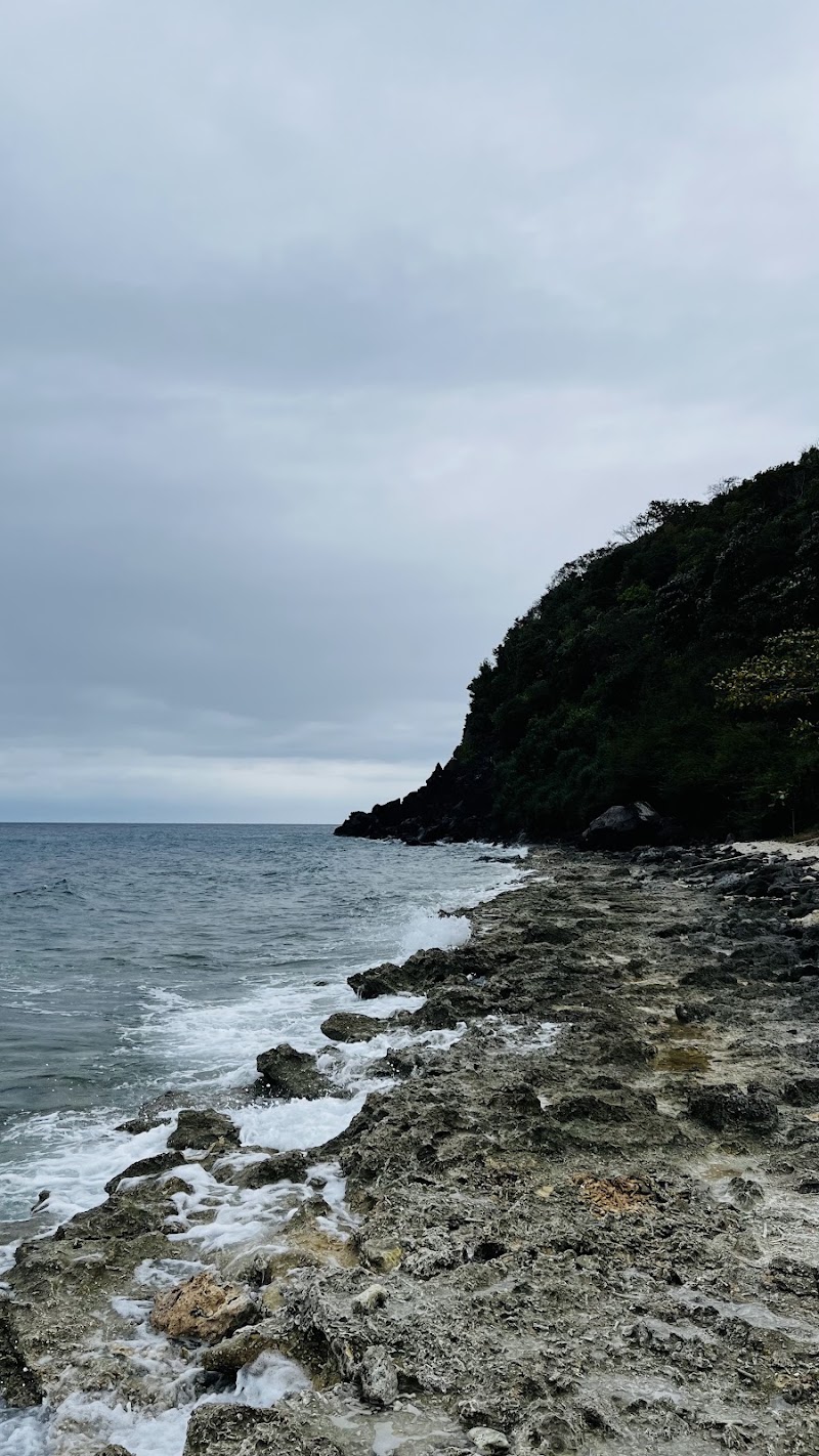 Apo Island Marine Sanctuary - Apo Island Marine Sanctuary, 37FC+M6V Apo Island, Dauin, Negros Oriental, Philippines
