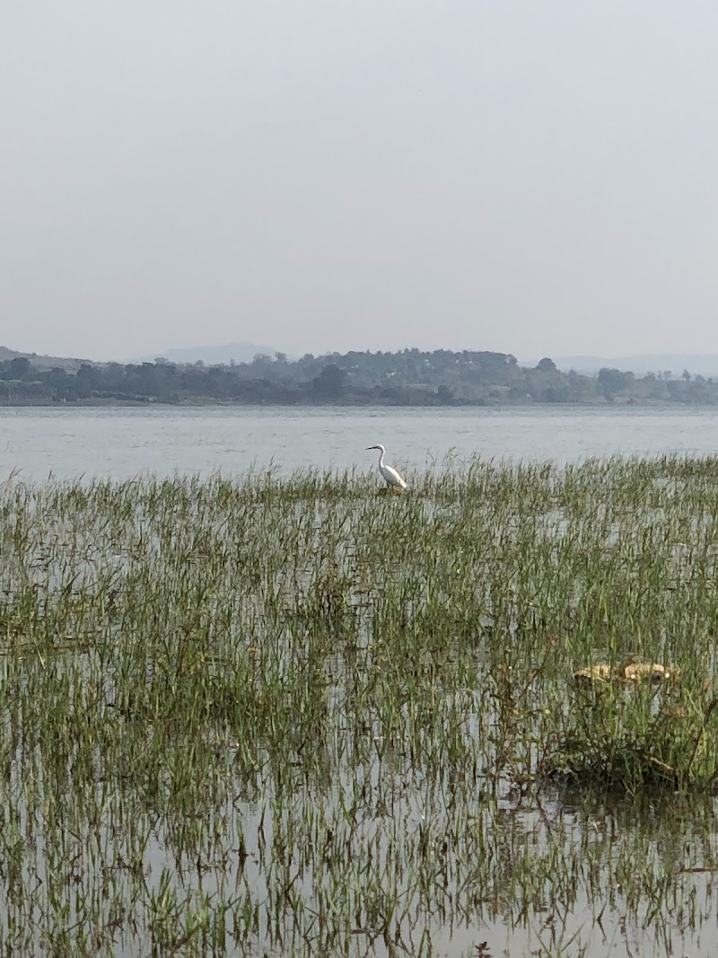 Kabini River - Kabini River Kabini River
