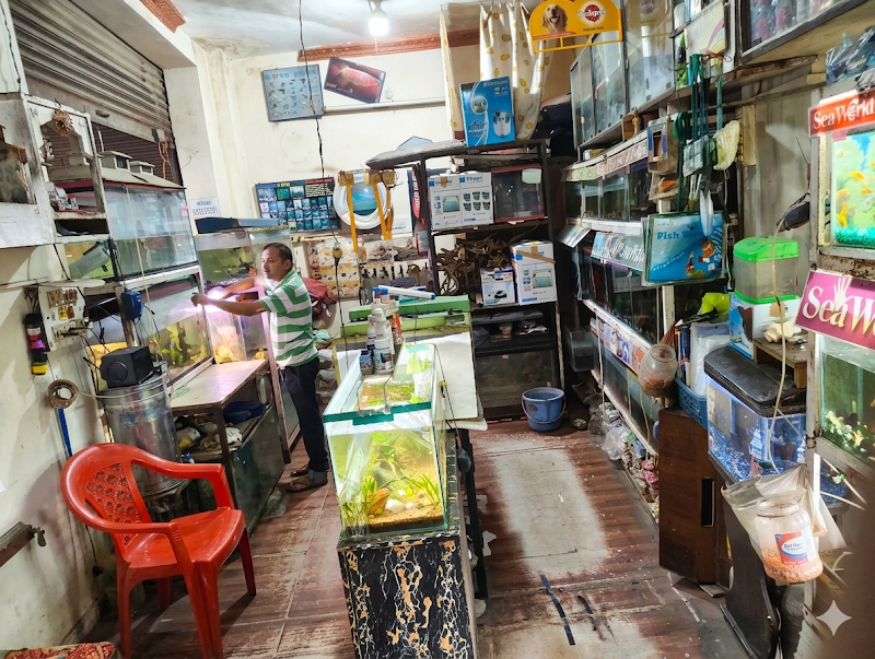 Sea world fish aquarium - Sea world fish aquarium 34PW+VHX, Civil Lines, Bilaspur, Masanganj, Chhattisgarh 495001, India