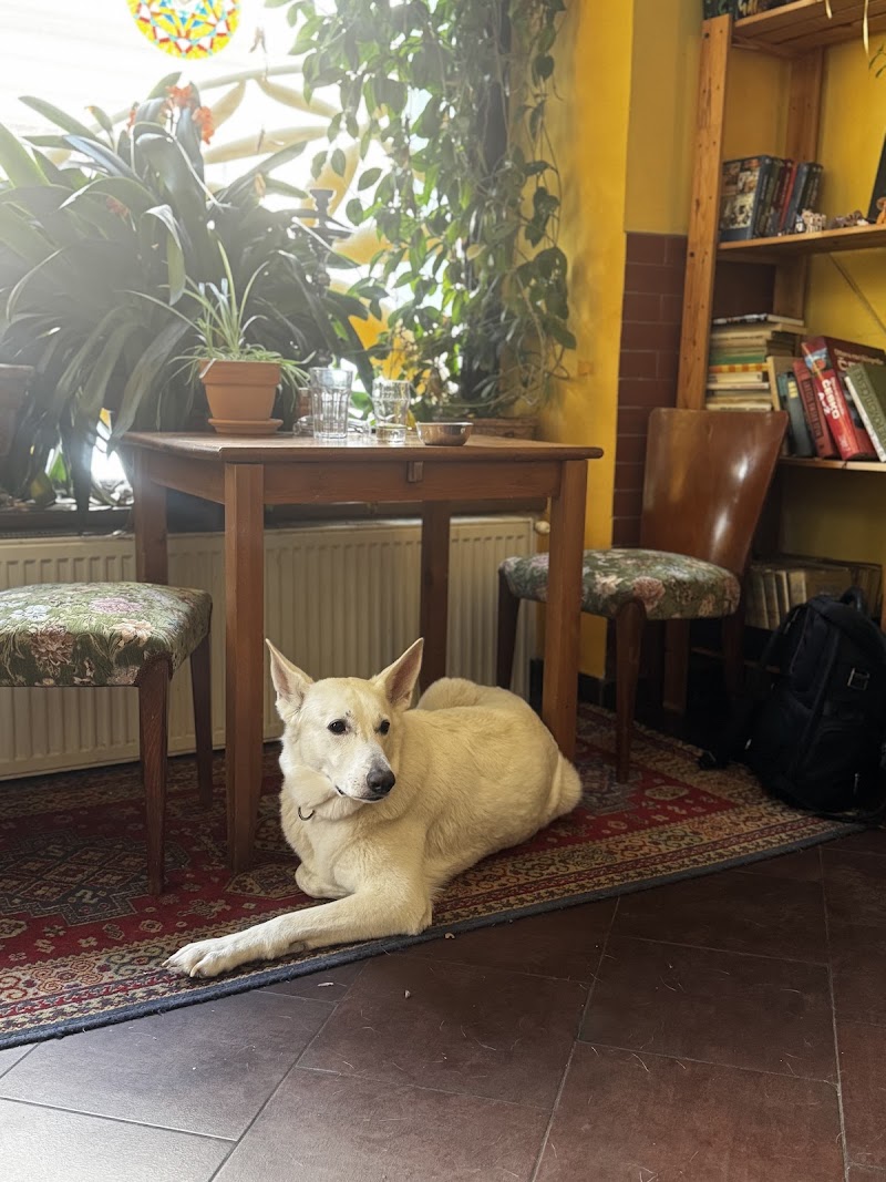 Ananta Restaurant - Ananta Restaurant Elišky Peškové 469/6, 150 00 Praha 5-Smíchov, Czechia
