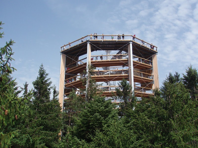 Treetop Trail Lipno - Treetop Trail Lipno, Lipno nad Vltavou 307, 382 78 Lipno nad Vltavou, Czechia