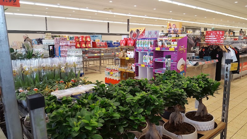 ALDI SUISSE - ALDI SUISSE, Thunstrasse 29c, 3770 Zweisimmen, Switzerland