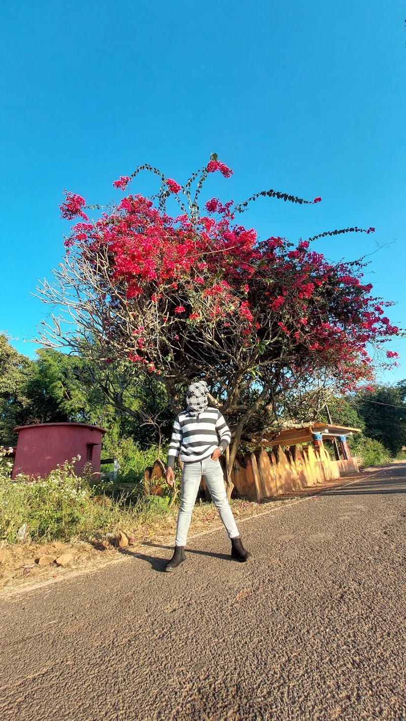 Chatiguda PO - Chatiguda PO, H8C2+F8M, Chatiaguda, Odisha 764072, India