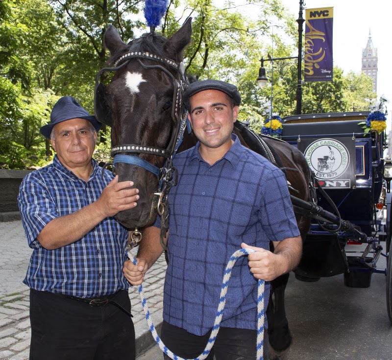 NYC Horse Carriage Rides EST.1979