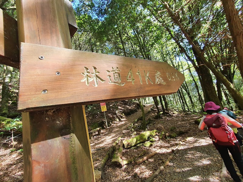 大雪山國家森林遊樂區木馬道 - 大雪山國家森林遊樂區木馬道, 424, Taiwan, Taichung City, Heping District, 台中市和平區