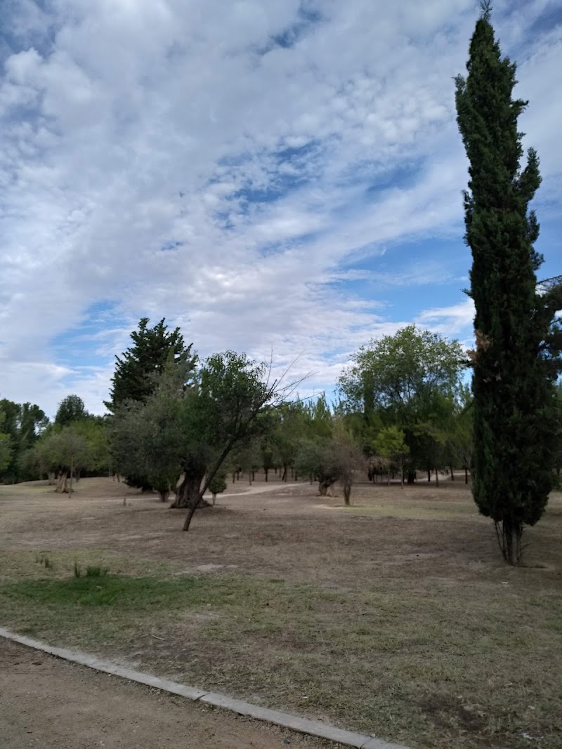 Golondrina Park - Golondrina Park, Unnamed Road, 28023, C. del Escultor Peresejo, 11, Moncloa - Aravaca, 28023 Madrid, Spain