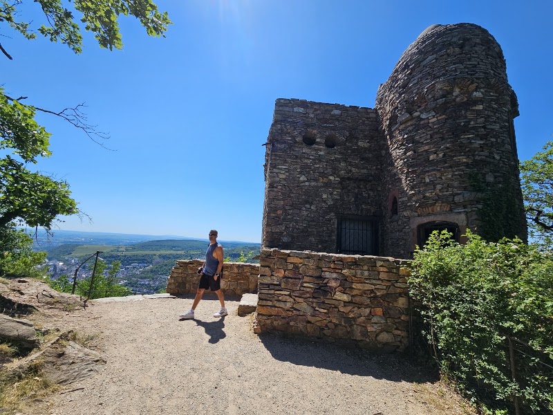 Niederwald in Rudesheim - Niederwald in Rudesheim, 65385 Rüdesheim am Rhein, Germany