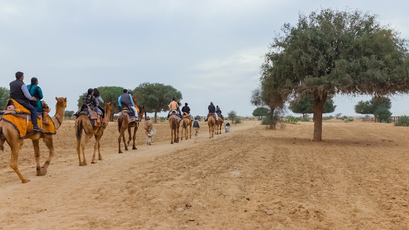 Sam Sand Dunes Desert Safaris - Sam Sand Dunes Desert Safaris Shani Dev Marg, Malka Pol, Sadar Bazar, Jaisalmer, Kishan Ghat, Rajasthan 345001, India