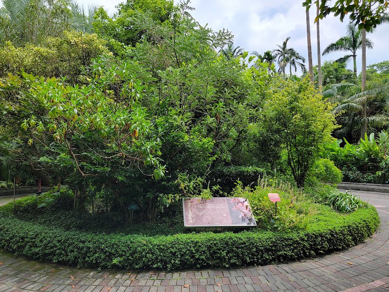 植物園和平西路圓環 - 植物園和平西路圓環 Section 2, Heping W Rd, Zhongzheng District, Taipei City, Taiwan 100