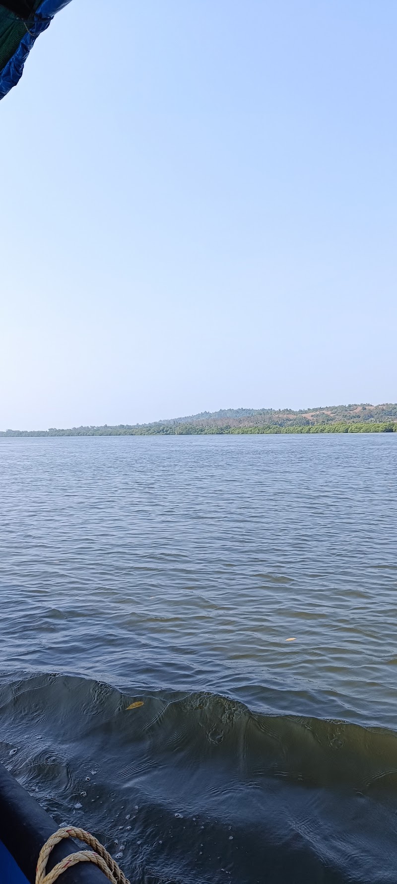 Mangrove Boat Ride (Prior booking required) - Mangrove Boat Ride (Prior booking required) Chorao Jetty, Madel, Goa 403102, India