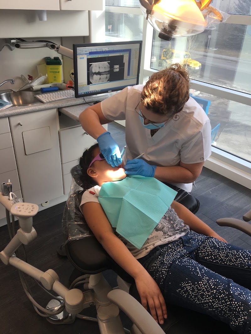 One Smile Bright Inc. - One Smile Bright Inc., ***BOOKING ONLY / NO WALKING ***, 19 Everwillow Close SW, Calgary, AB T2Y 4G4, Canada