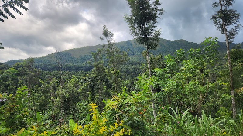Jalasiri Nature Valley Homestay