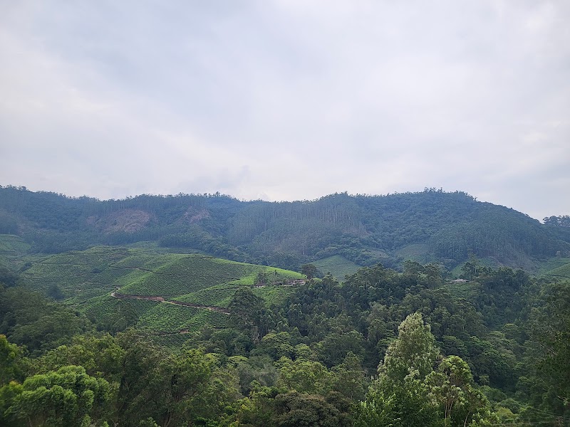 Valley view Gap road - Valley view Gap road 33GQ+F6H, Munnar, Kannan Devan Hills, Kerala 685612, India