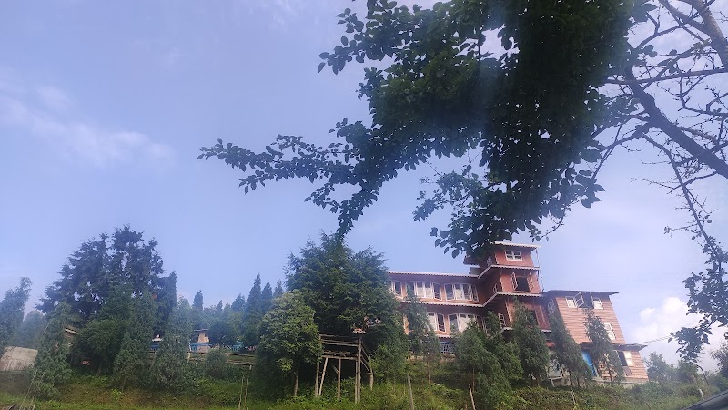 Little Forest Homestay