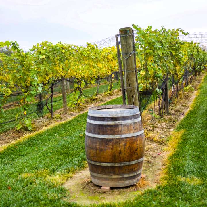 Winery Tour Yarra Valley - Winery Tour Yarra Valley, Unit 201/98 River Esplanade, Docklands VIC 3008, Australia