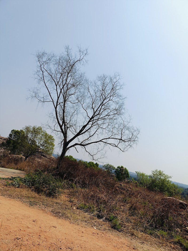 Kambadahalli Anjaneya Bettada Archakaru - Kambadahalli Anjaneya Bettada Archakaru, VJ9P+P2W, Kambadahalli, Karnataka 571802, India