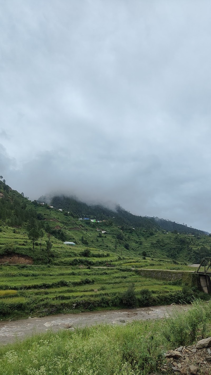 Jim Corbett Jungle Safari JCJS | Jeep Safari - Jim Corbett Jungle Safari JCJS | Jeep Safari Ramnagar Uttrakhand Dhikuli, Ramnagar, Garjiya, Uttarakhand 244715, India