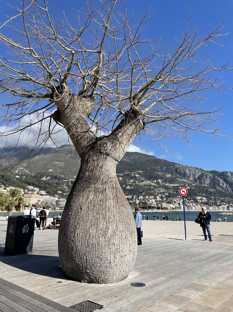 Plage des Sablettes - Plage des Sablettes Plage des Sablettes, 06500 Menton, France