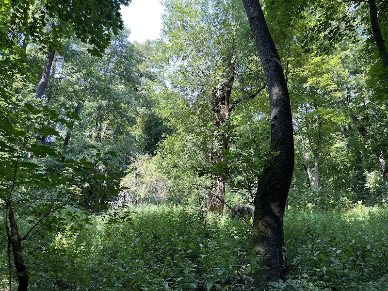 Vinoř Nature Reserve - Vinoř Nature Reserve, 190 15 Satalice, Czechia