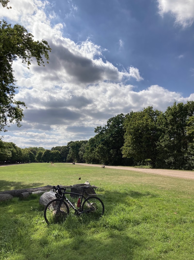 Regent's Park Running Track - Regent's Park Running Track, London NW1 4RU, UK