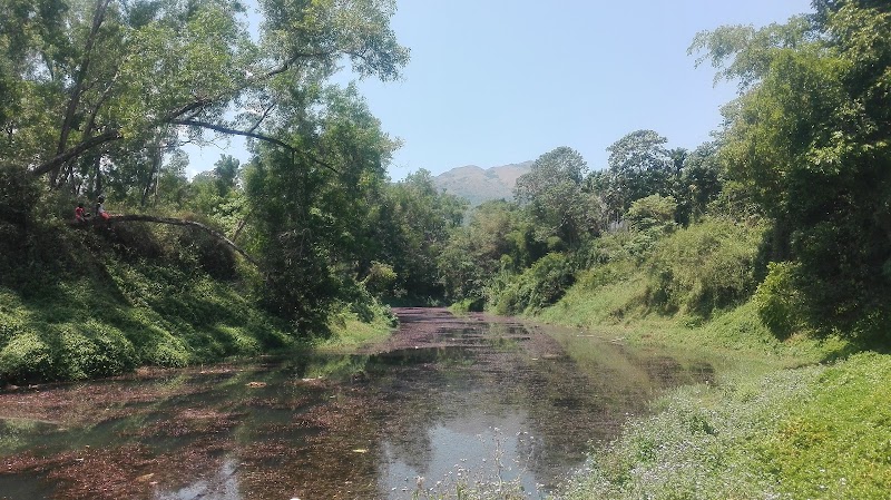 Meppadi - Meppadi Meppadi, Kerala 673577, India