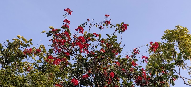Ashok Vihar - Ashok Vihar, Delhi, India