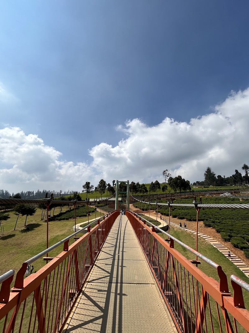 Karnataka Siri Horticulture Garden - Karnataka Siri Horticulture Garden Fern Hill, West Mere, CM2M+9GV, West Mere, Ooty, Tamil Nadu 643004, India