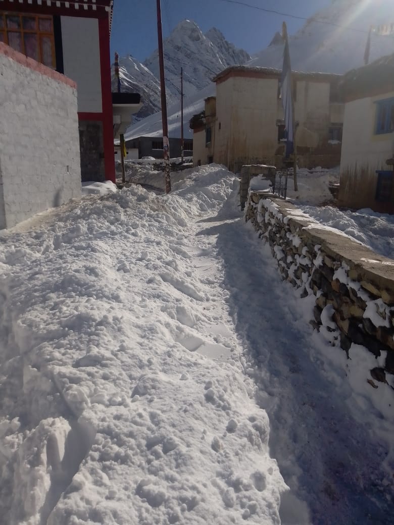 Dharma Homestay - Dharma Homestay, Phuntsok Dorjey C/O Dharma Homestay Sagnam, Pin Valley 172117 Tehsil-Kaza, Sangnam, Himachal Pradesh 172117, India