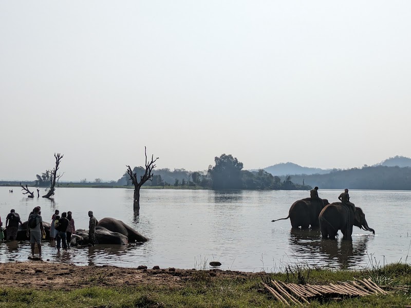 Sakkare Bailu - Sakkare Bailu, RGQ7+WJ5, Sakrebyle, Thimkapura, Karnataka 577202, India